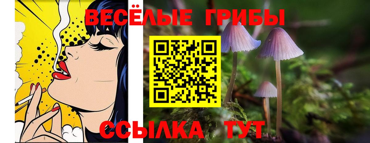 Псилоцибиновые грибы мицелий  Вход с VPN  Галлюциногенные грибы ЛСД  Кандалакша 