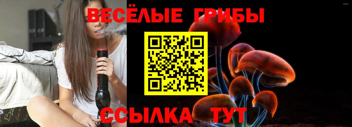 Галлюциногенные грибы Psilocybine cubensis Кандалакша